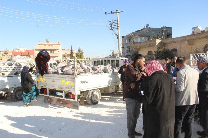 Şanlıurfa’da Ücretsiz Kömür Dağıtımı Başladı