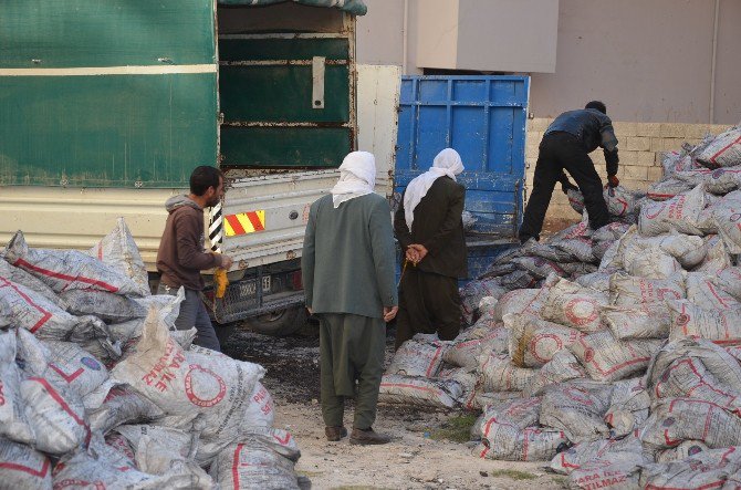 Viranşehir De 2 Bin 500 Aileye Kömür Yardımı Yapılıyor.