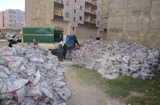 Viranşehir De 2 Bin 500 Aileye Kömür Yardımı Yapılıyor.