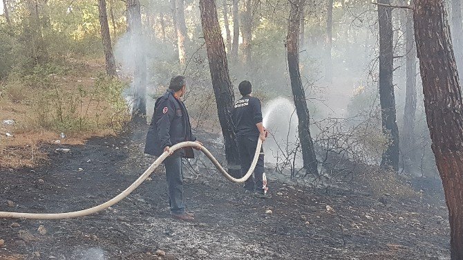 Manavgat’ta İki Ayrı Noktada Yangın