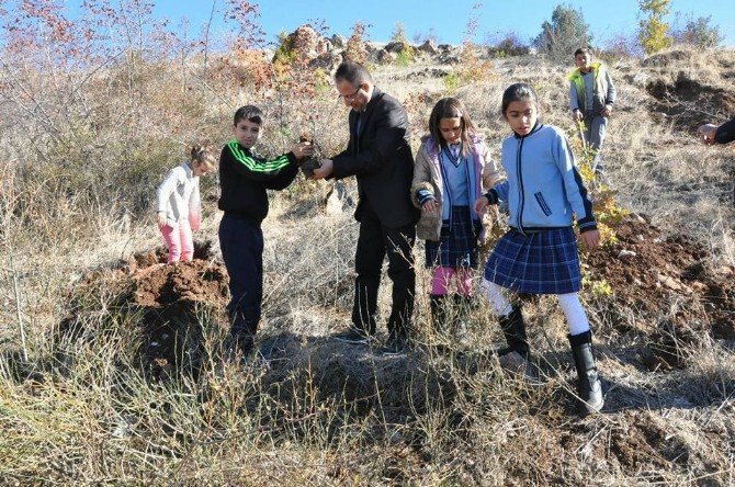 Gölbaşı İlçesinde Öğrenciler Fidan Dikti