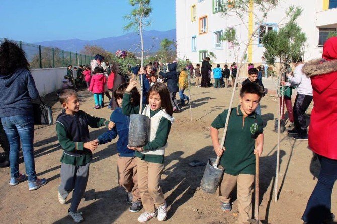 24 Kasım Öğretmenler Günü Hatıra Ormanı Oluşturuldu