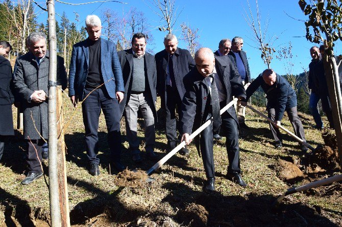 Giresun’da ‘15 Temmuz Şehitler Hatıra Ormanı’ Törenle Açıldı.