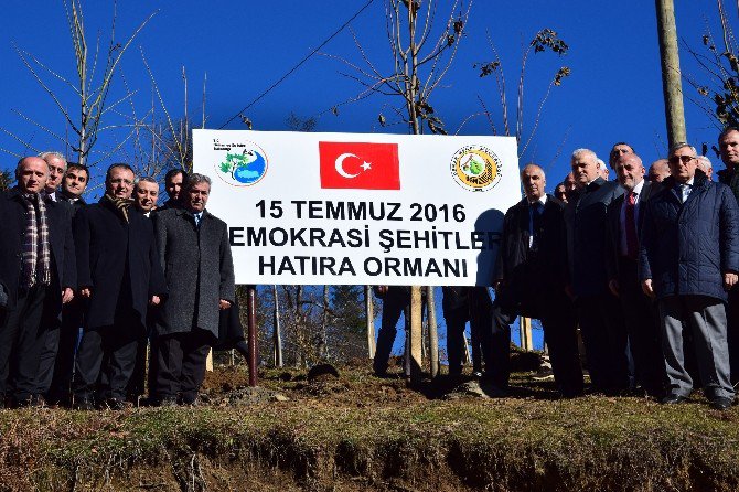 Giresun’da ‘15 Temmuz Şehitler Hatıra Ormanı’ Törenle Açıldı.