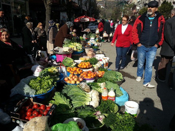 Organik Ürünler Devrek’te Büyük İlgi Görüyor