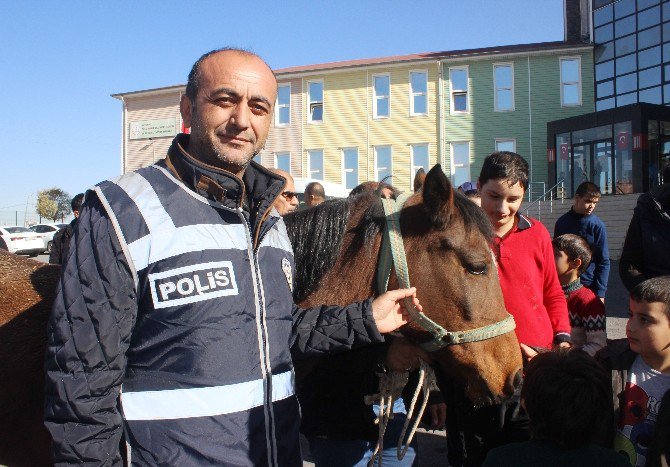 Rehabilitasyon Merkezinden Çalınan ’Hazal’ At Bulundu