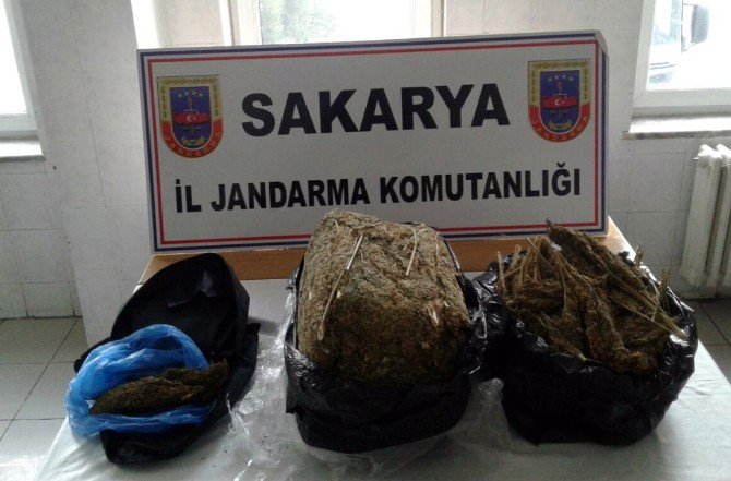 Sakarya’da 13 Kilogram Kubar Esrar Ele Geçirildi