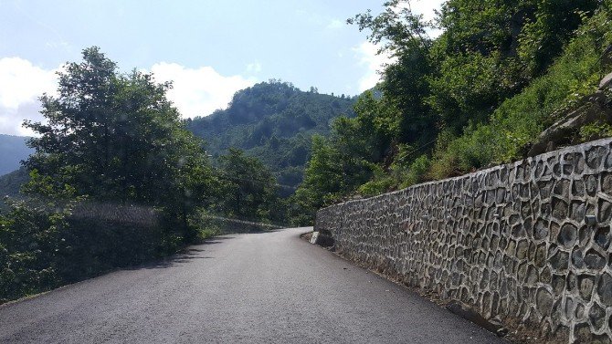 Ordu Yollarına Kavuşuyor