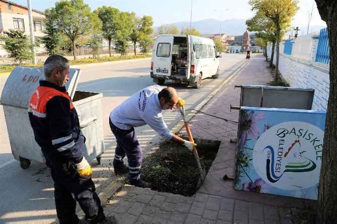 Temiz Çevre, Temiz Konteynerler