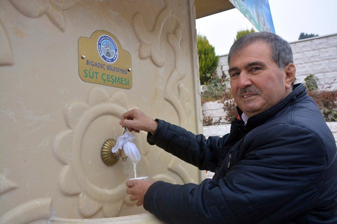 Bigadiç’in Çeşmelerinden Süt Akıyor