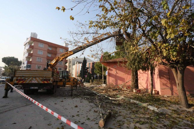 Gürsu’nun Vitrini Güzelleşiyor