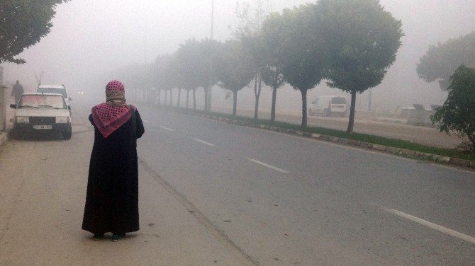 Manisa’da Sis Etkili Oldu