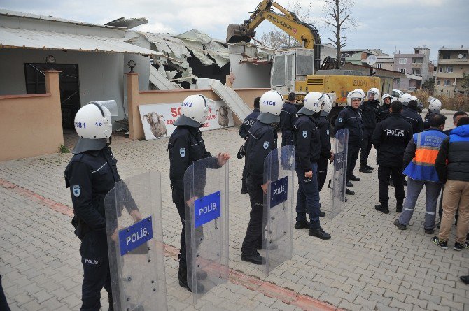 Önce Koyunları Tahliye Ettiler, Sonra Yıktılar