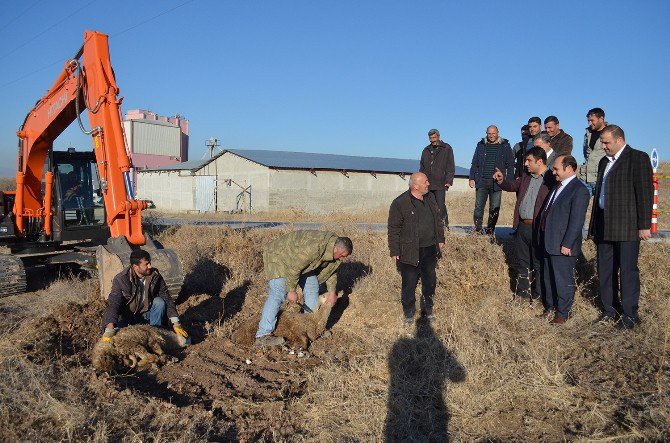 Alaca’da İçmesuyu Şebeke Hattı Çalışmaları Start Aldı