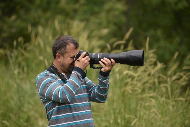 Van Gölünde İlk Defa Ak Pelikan Fotoğraflandı