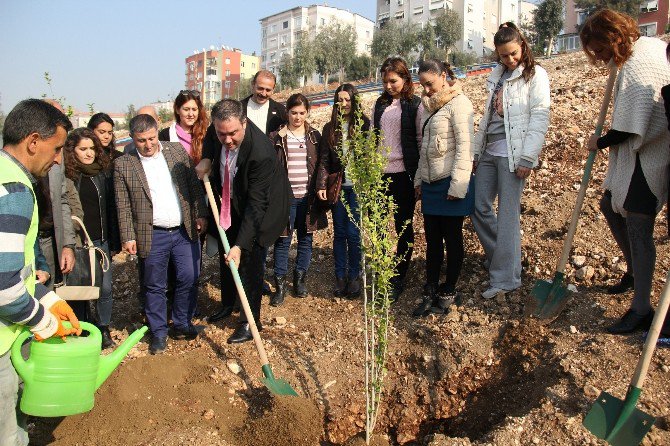 Buca’dan Öğretmenlere 3 Bin 942 Fidan