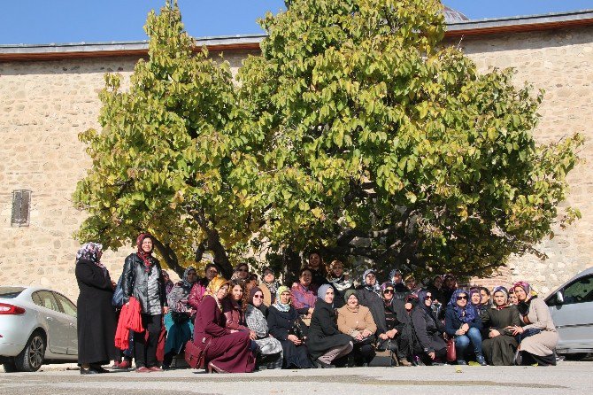 Elazığ Belediyesi Spor Merkezlerine Yoğun İlgi