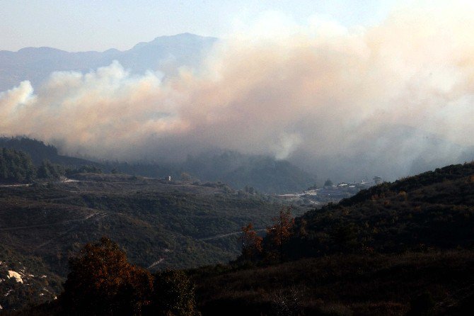 Hatay’ın Suriye Sınırında Orman Yangını