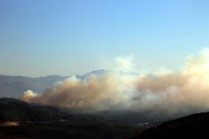 Hatay’ın Suriye Sınırında Orman Yangını