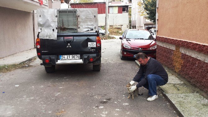 İzmit Zabıtası, Şikayetleri Dikkate Alıyor