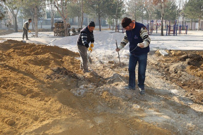 Karaman Belediyesi, Gülistan Parkı’nda Yenileme Çalışması Başlattı