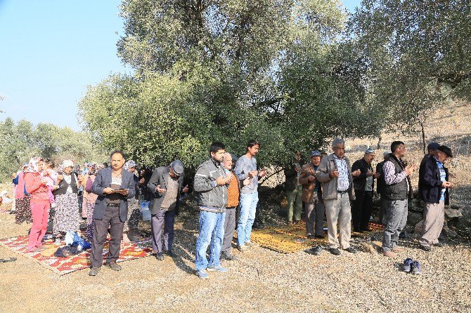 Milas’ta Köylülerin Son Çaresi Yağmur Duası