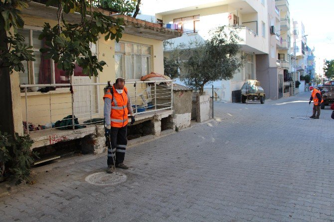 Kuşadası’nda Haşerelere Karşı Yıl Boyu Etkin Mücadele Ediliyor