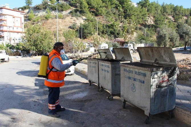 Kuşadası’nda Haşerelere Karşı Yıl Boyu Etkin Mücadele Ediliyor
