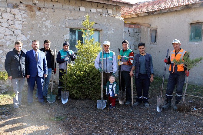 "Fidanlar Bizden, Dikmesi Sizden" Projesi Seyitgazi’de