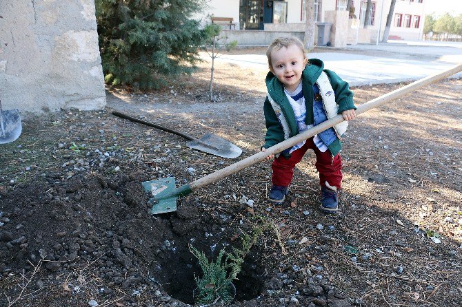 "Fidanlar Bizden, Dikmesi Sizden" Projesi Seyitgazi’de