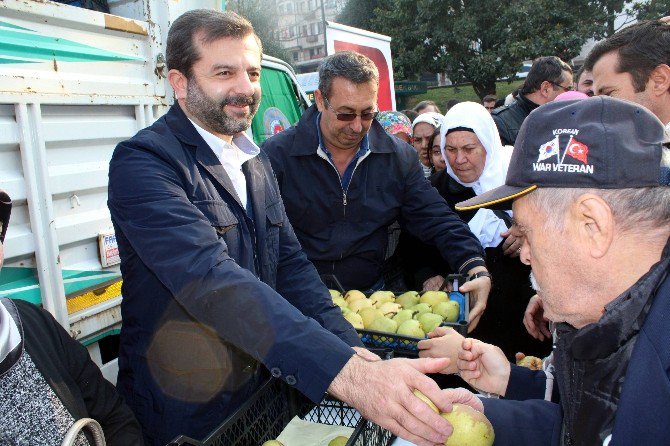 Bursa’da Bedava Armut İzdihamı