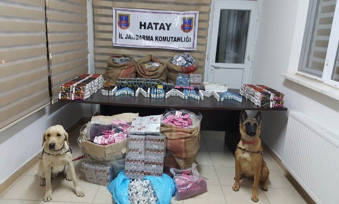 Hatay’da Piyasa Değeri 1 Milyon Tl’lik Uyarıcı Hap Ele Geçirildi