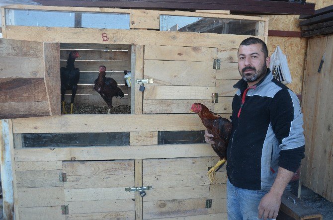 Kaportacı Ustası İş Yerinde Horoz Ve Tavuk Bakıyor