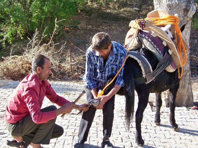 Nalbantlık Mesleğinin Son Temsilcileri Unutulmak İstemiyor