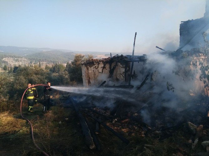 Zeytin Arazisinde Çıkan Yangın Korkuttu