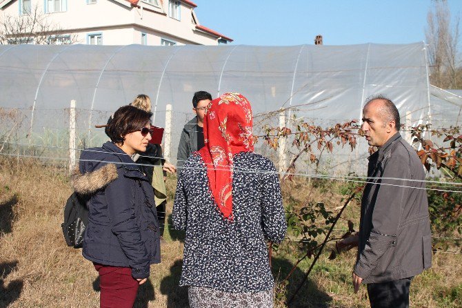 Tarım Personeline ’Tarımsal İşletme Danışmanlığı’ Eğitimi