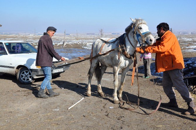 Atıyla Donan Aracını Çekti