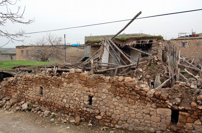 Örenli Mahallesi Sakinlerini Korku Sardı