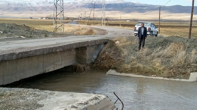 Karagündüz Halkı Kayyumlardan Yardım Bekliyor