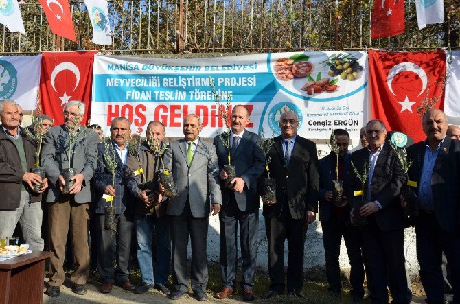 Manisalı Zeytin Üreticisine Tam Destek