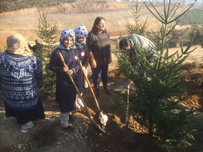 Öğretmenler Günü’nü Fidan Dikerek Kutladılar