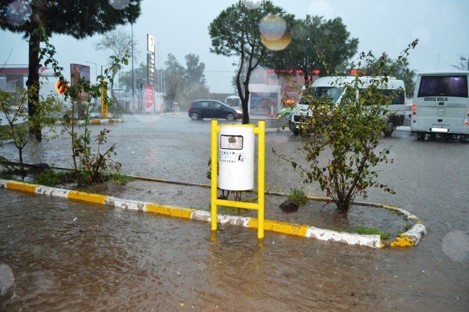 Ayvalık’ta Hortum Ağaçları Devirdi, Çatıları Uçurdu