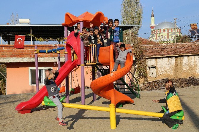 Bir Gün İçinde Parklarına Kavuştular