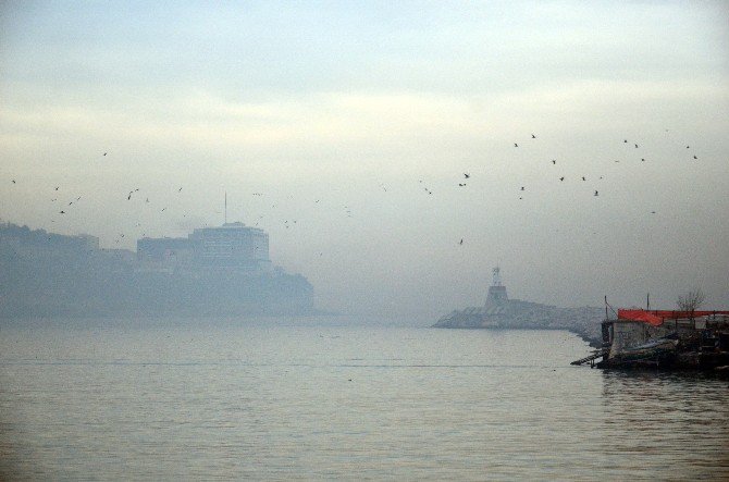 Zonguldak’ta Hava Kalitesi ‘Hassas’ Seviyede