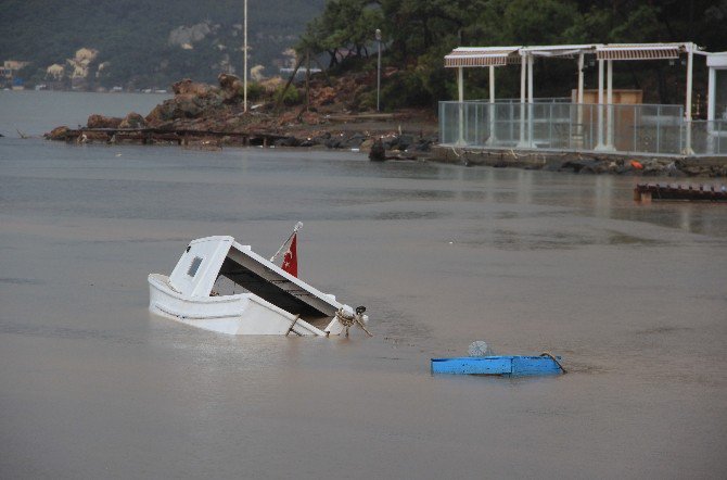 Ayvalık’taki Selde 800 Hayvan Telef Oldu