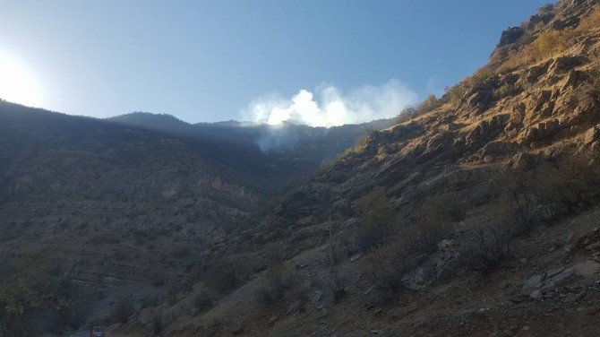 Beytüşşebap’ta Orman Yangını