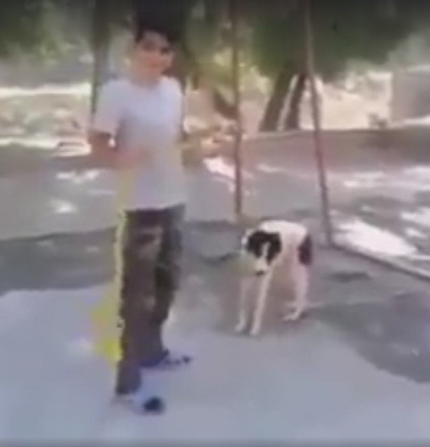 Köpeğe İşkence Görüntüleri Tepki Topladı