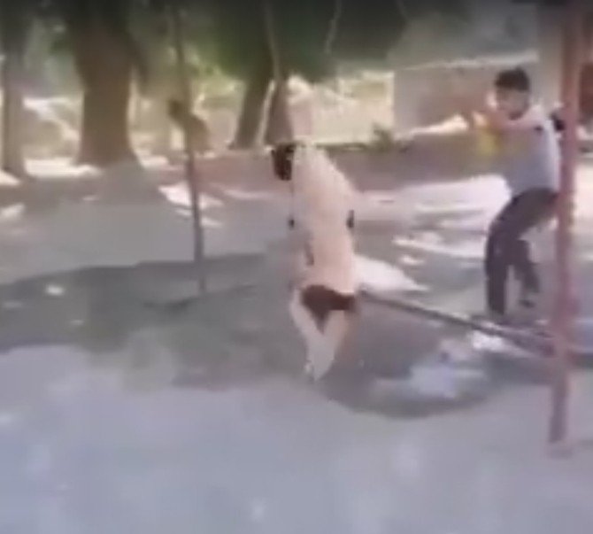 Köpeğe İşkence Görüntüleri Tepki Topladı