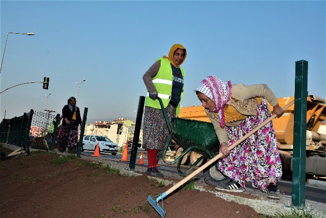 Körfez’de Peyzaj Çalışmalarına Kadın Eli Değiyor