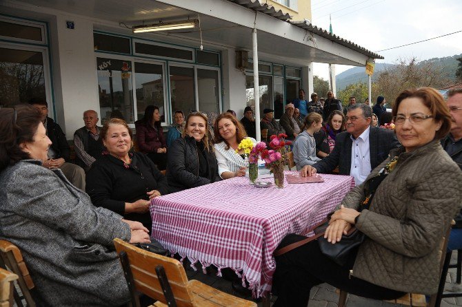 Zeytinler Köy Kahvesi Kadınlara Emanet